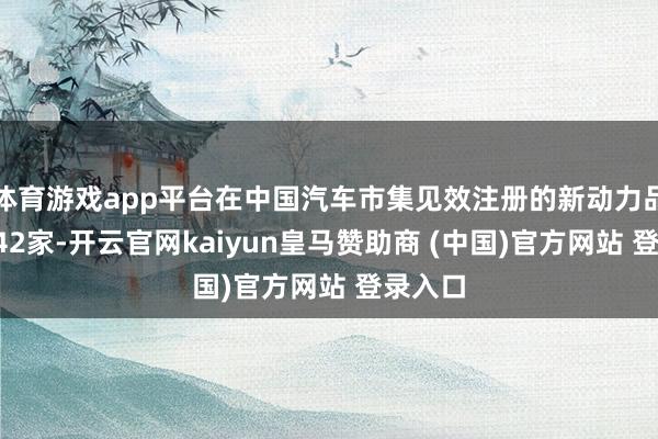 体育游戏app平台在中国汽车市集见效注册的新动力品牌有442家-开云官网kaiyun皇马赞助商 (中国)官方网站 登录入口