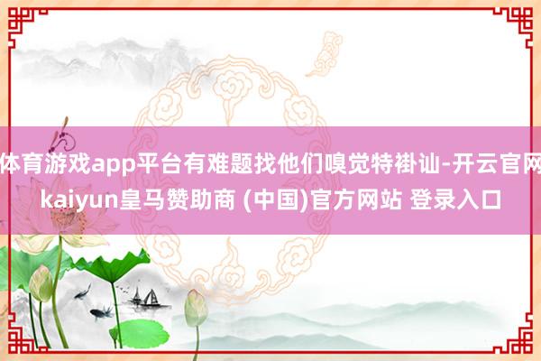 体育游戏app平台有难题找他们嗅觉特褂讪-开云官网kaiyun皇马赞助商 (中国)官方网站 登录入口